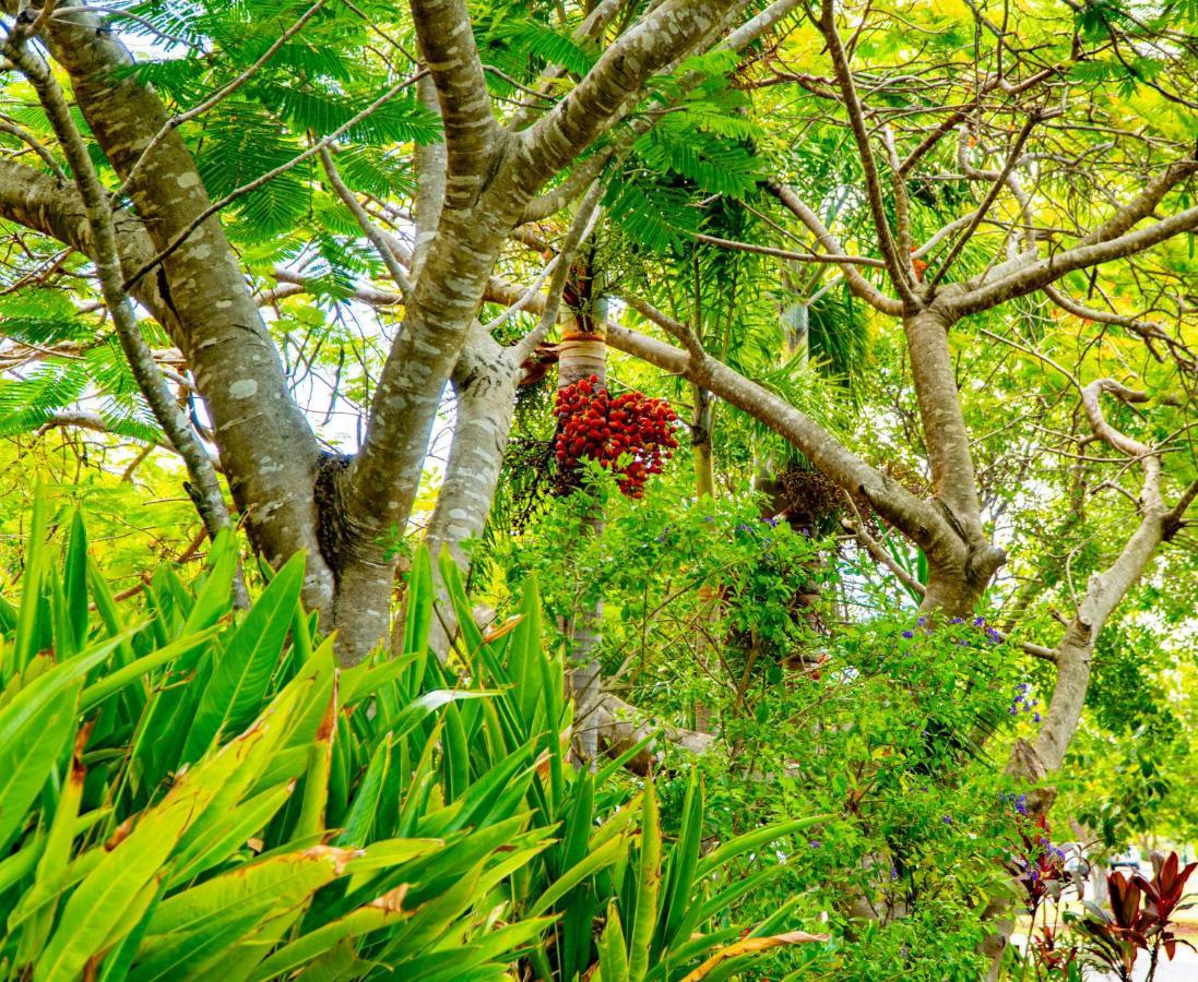 Sunbird Gardens Villa Agnes Water Luaran gambar